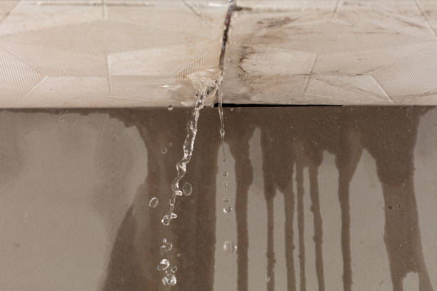 Professional Sewage Cleanup technician working in Glenwood, NJ